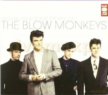 The Blow Monkeys: Digging Your Scene The Best Of [2CD]