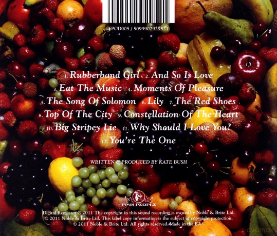 Kate Bush: Red Shoes [CD]