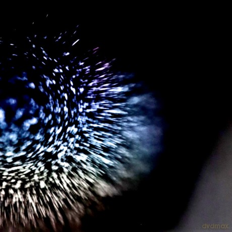 Emptyset: Blossoms [Winyl]