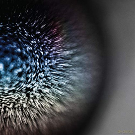 Emptyset: Blossoms [Winyl]