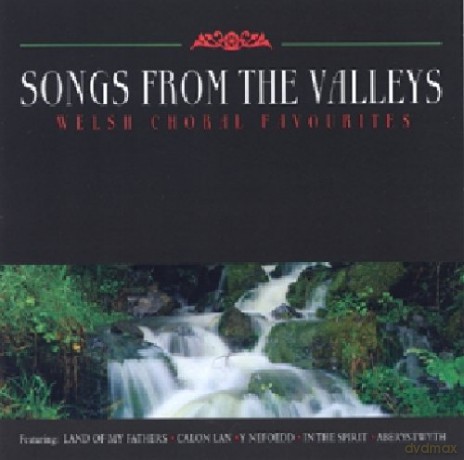 Welsh Choral: Chants Des Vallees [CD]