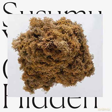 Susumu Yokota: Cloud Hidden [CD]