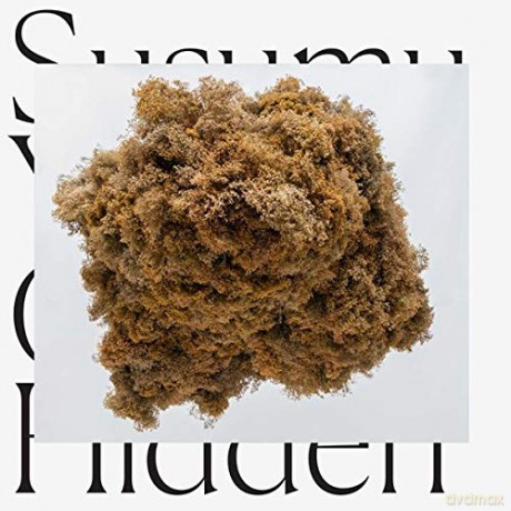 Susumu Yokota: Cloud Hidden [Winyl]