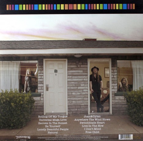 Goodbye June: Community Inn (+Guitar Plectrum) [Winyl]