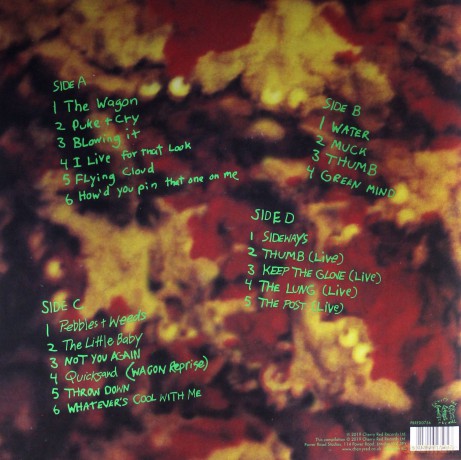 Dinosaur Jr.: Green Mind (Deluxe Green) [2xWinyl]