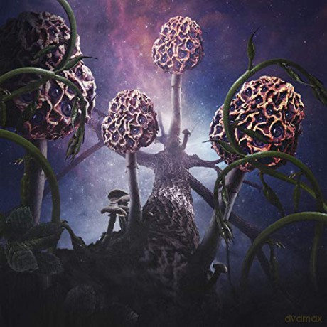 Blut Aus Nord: Hallucinogen [2xWinyl]