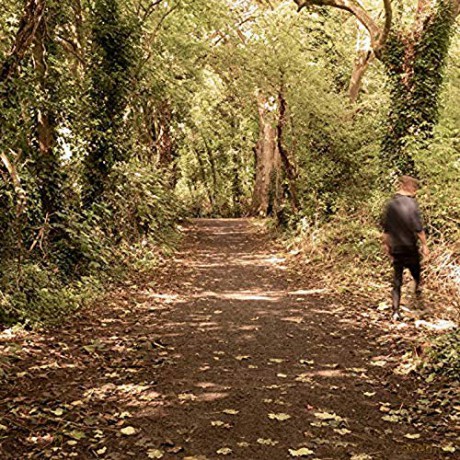 Paddy Mulcahy: How To Disappear [Winyl]