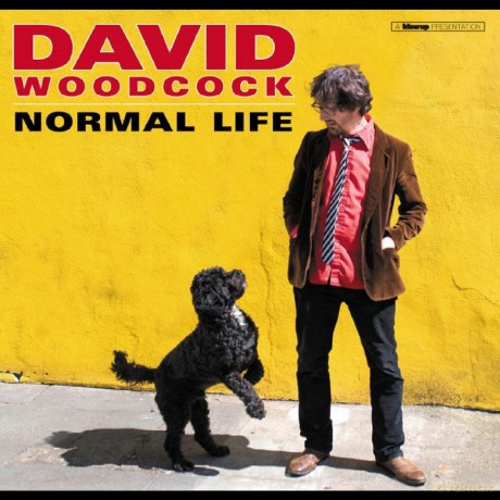 David Woodcock: Normal Life [CD]