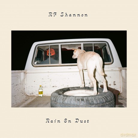 Rf Shannon: Rain On Dust [CD]