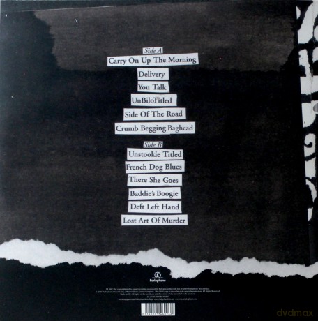 Babyshambles: Shotter's Nation [Winyl]