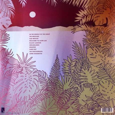 Still Corners: Slow Air [Winyl]