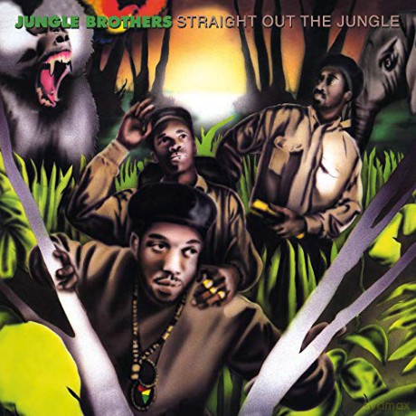 Jungle Brothers: Straight Out The Jungle (Coloured) [2xWinyl]