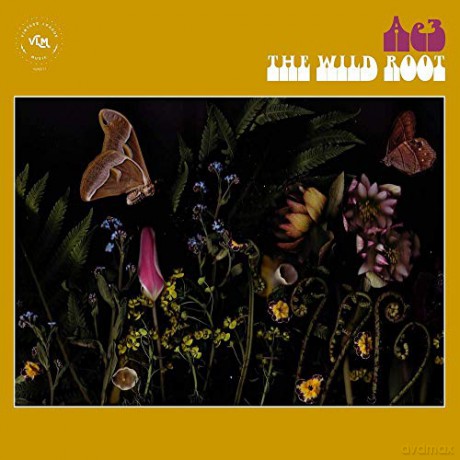 Ae3 (Alan Evans Trio): The Wild Root [Winyl]