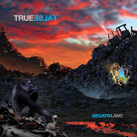 Negativland: True False [CD]