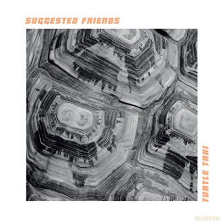 Suggested Friends: Turtle Taxi [CD]
