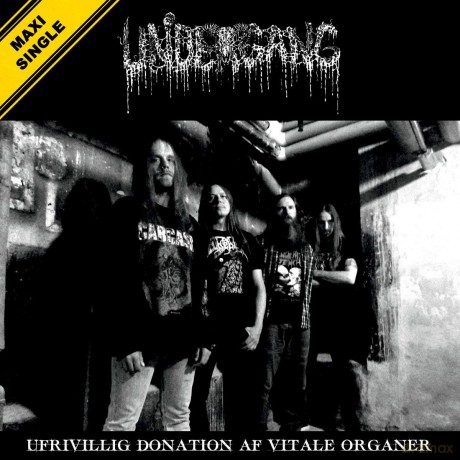 Undergang: Ufrivillig Donation Af Vitale Organer [Winyl]