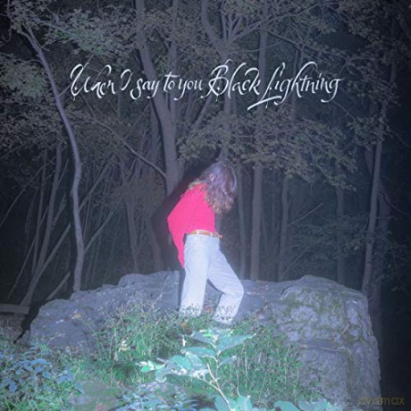 Common Holly: When I Say To You Black [CD]