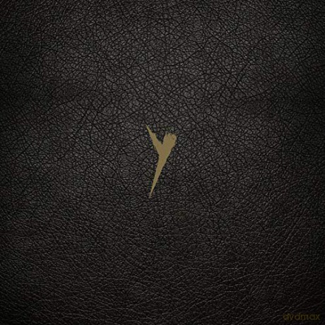 Pop Group: Y [Winyl]