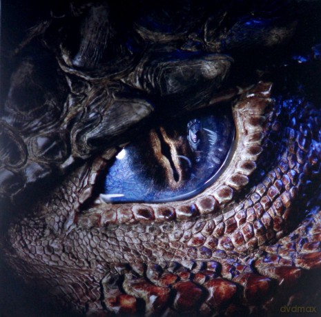 Monster Hunter soundtrack (Limited) [2xWinyl]