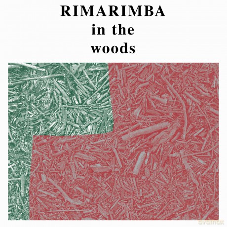 Rimarimba: In The Woods [Winyl]