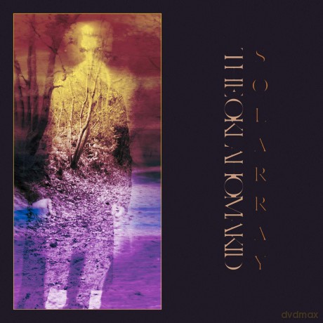 Oklahoma Kid: Solarray [CD]