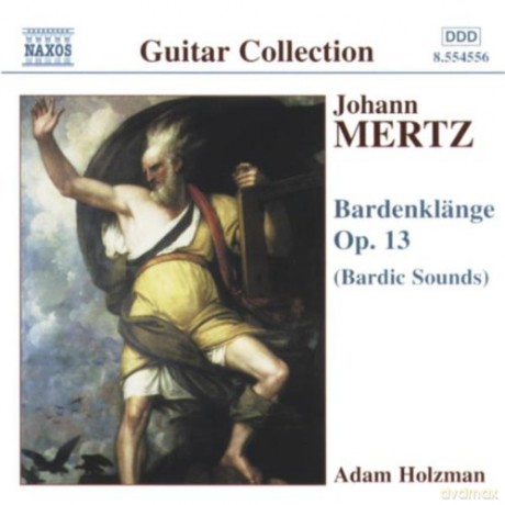 Adam Holzman: Mertzbardenklange [CD]
