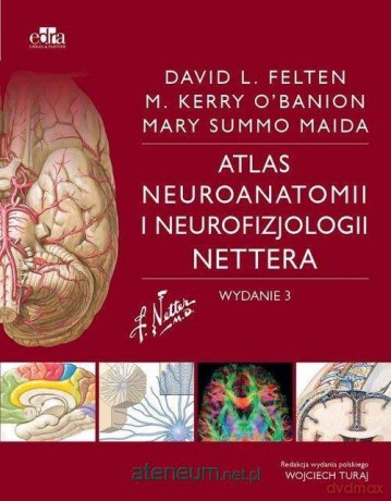 Atlas neuroanatomii i neurofizjologii Nettera - Felten D.L., Maida M., O'Banion M. [KSIĄŻKA]