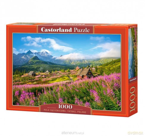 CASTORLAND 1000 el. Hala Gąsienicowa Tatry Polska [PUZZLE]