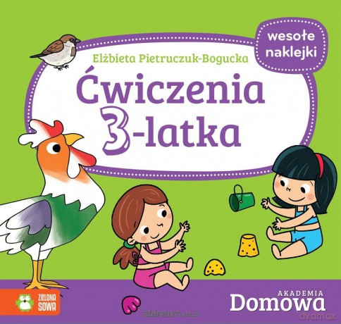 Domowa Akademia. Ćwiczenia 3-latka - Elżbieta Pietruczuk-Bogucka, Wojciech Stachyra [KSIĄŻKA]