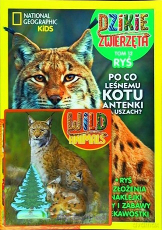 Dzikie Zwierzęta (Tom 12) Ryś [KSIĄŻKA]