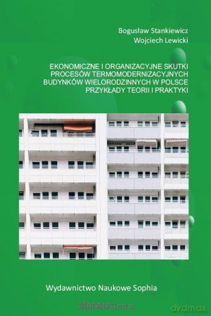 Ekonomiczne i organizacyjne skutki procesów - Bogusław Stankiewcz, Wojciech Lewicki [KSIĄŻKA]