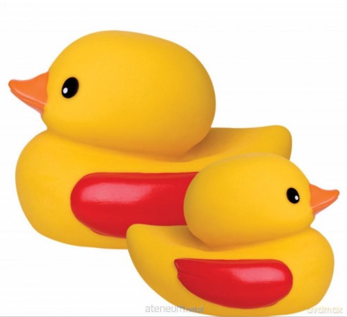 Hencz Toys Kacza rodzinka