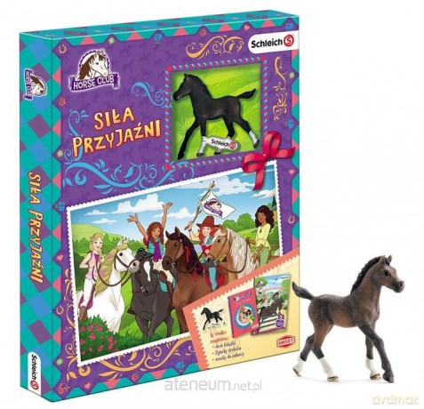 Horse Club. Siła przyjaźni [KSIĄŻKA]