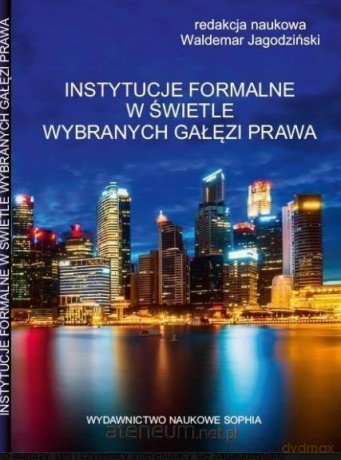Instytucje formalne w świetle wybranych gałęzi - Waldemar Jagodziński [KSIĄŻKA]