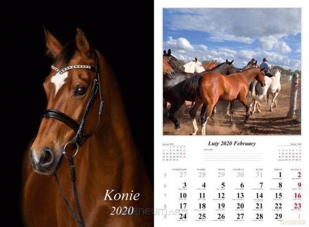 Kalendarz 2020 Konie 13 planszowy [KALENDARZ]