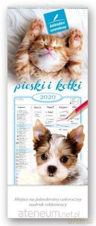 Kalendarz 2020 Notatnikowy Pieski i kotki WN6 [KALENDARZ]