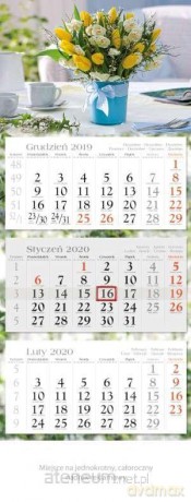 Kalendarz 2020 Trójdzielny Ekonom. Tulipany KE4 [KALENDARZ]