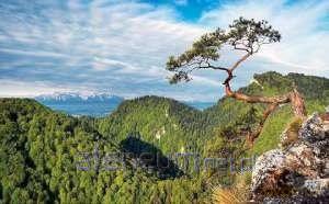 Kalendarz 2020 Trójdzielny Pieniny KT04 [KALENDARZ]