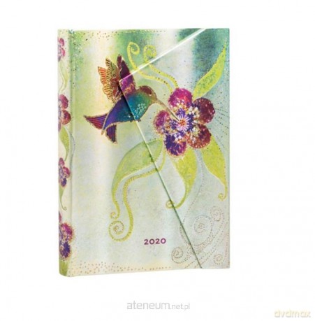 Kalendarz książkowy midi 2020 12M Hummingbird [KALENDARZ]