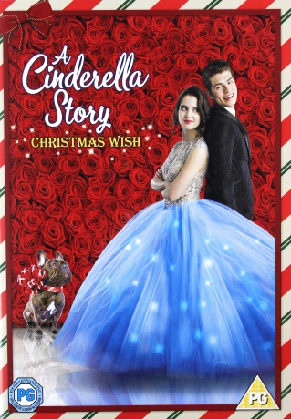 A Cinderella Story: Christmas Wish [DVD]