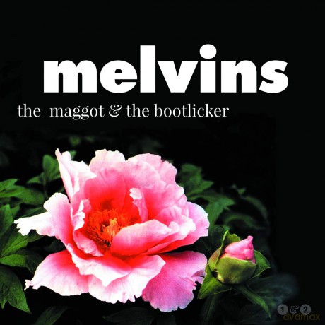 Melvins: The Maggot The Bootlicker [2xWinyl]