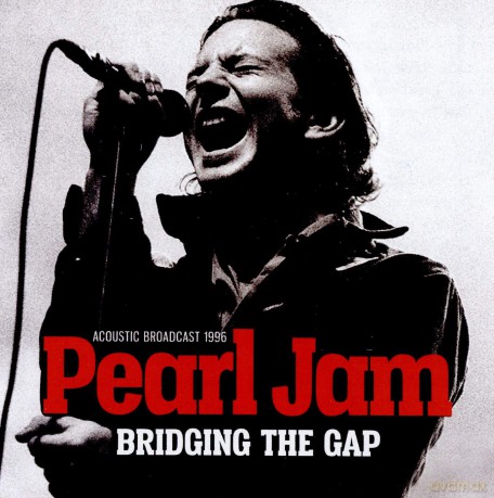Pearl Jam: Bridging The Gap [CD]