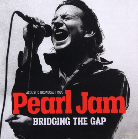 Pearl Jam: Bridging The Gap [CD]
