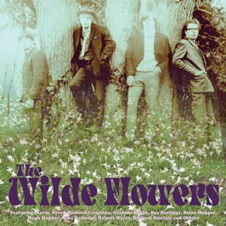 Wilde Flowers: The Wilde Flowers [CD]