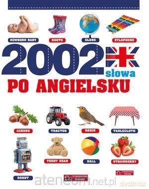 2002 słowa po angielsku [KSIĄŻKA]