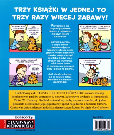 Garfield (Tom 6) Tłusty koci trójpak [KOMIKS]