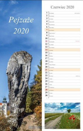 Kalendarz 2020 Pejzaże 13 planszowy 15x48 [KALENDARZ]