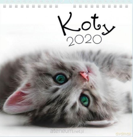 Kalendarz 2020 planszowy 32x32 Koty [KALENDARZ]