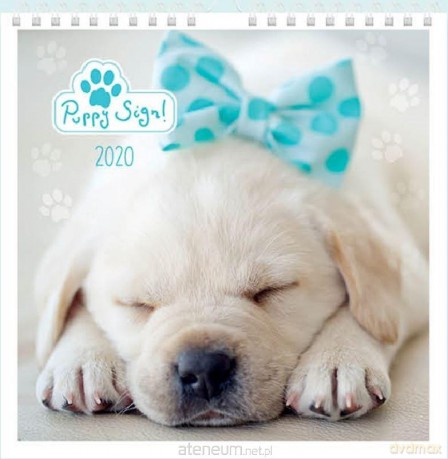 Kalendarz 2020 planszowy 32x32 Puppy Sign [KALENDARZ]