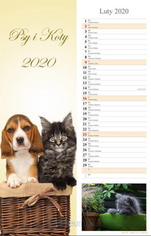 Kalendarz 2020 Psy i Koty 13 planszowy [KALENDARZ]